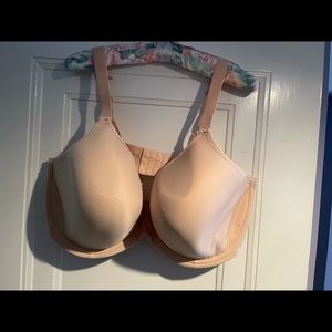 Elomi Bijou EL 8722SAD 42J bra. Plunge t-shirt bra
